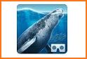 Sea World VR2 related image
