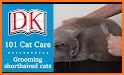 Kitty Care and Grooming related image