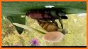 Ladybug simulator related image