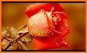 Beautiful flowers and roses pictures Gif 2020 related image