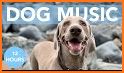 Relax Music for Dogs related image