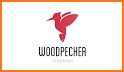 Woodpecker - Language Learning related image