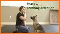 Dog Obedience related image