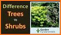 Trees and shrubs related image