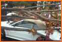 Cars Smash Storm related image