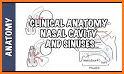 Essential Clinical Anatomy, 5e related image