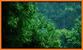 Sound Oasis Nature Sounds Pro related image