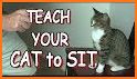 How to Train Your Cat related image