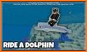 Dolphin Addon For MCPE related image