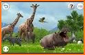 Animal Sounds and Games related image