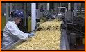 Potato Chips Factory - delicious food cooking chef related image
