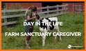 Farm Animal Rescue related image