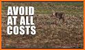 Coyote Hunting Calls related image