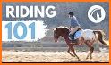 Horse Care and Riding related image