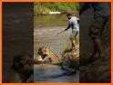 Link the animals related image