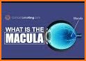 Macula related image