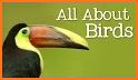 Nature Identification - Birds, Animals & Fish related image
