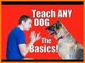 Dog Obedience related image