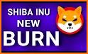 Shiba Burn Game related image