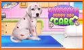 Labrador Puppy Day Care related image