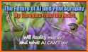 PhotoArt, AI Photo Editor related image