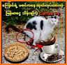 Nway oo Coffee related image