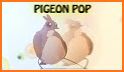 the pigeon pop related image