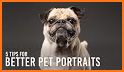 Pet Art Profile related image