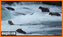Alaska Weather and Live cams related image