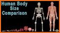 Human Body Parts - Kids Learning related image