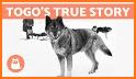 Balto K9 related image