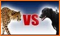 Real Dogs Racing Rabbit Hunter Greyhound Simulator related image