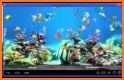 Fish Live Wallpaper Free related image