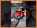 SmartPack - Bag packing list for travel related image