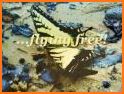 Nature Butterfly Keyboard related image