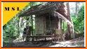 Jungle Camp House Builder related image