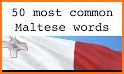 German - Maltese Dictionary (Dic1) related image