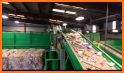 Tampa Trash and Recycling related image