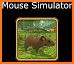 Mouse Simulator Animal Games related image