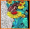 Paint By Number - Free Coloring Book & Poly Art related image