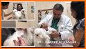 Pacific Animal Hospital MO related image