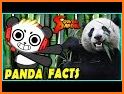 Super Combo Pet Panda related image