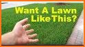 Lawn Care Guide related image