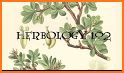 Herbology related image