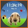 Dogs Watch Faces related image