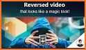 Reverse Video - Reverse video effect & Loop Video related image