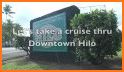 HiLo related image
