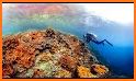 VR Coral Reef Underwater Scuba Diving related image