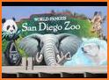 San Diego Zoo related image