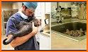 Pet World – My Animal Hospital – Care for animals related image